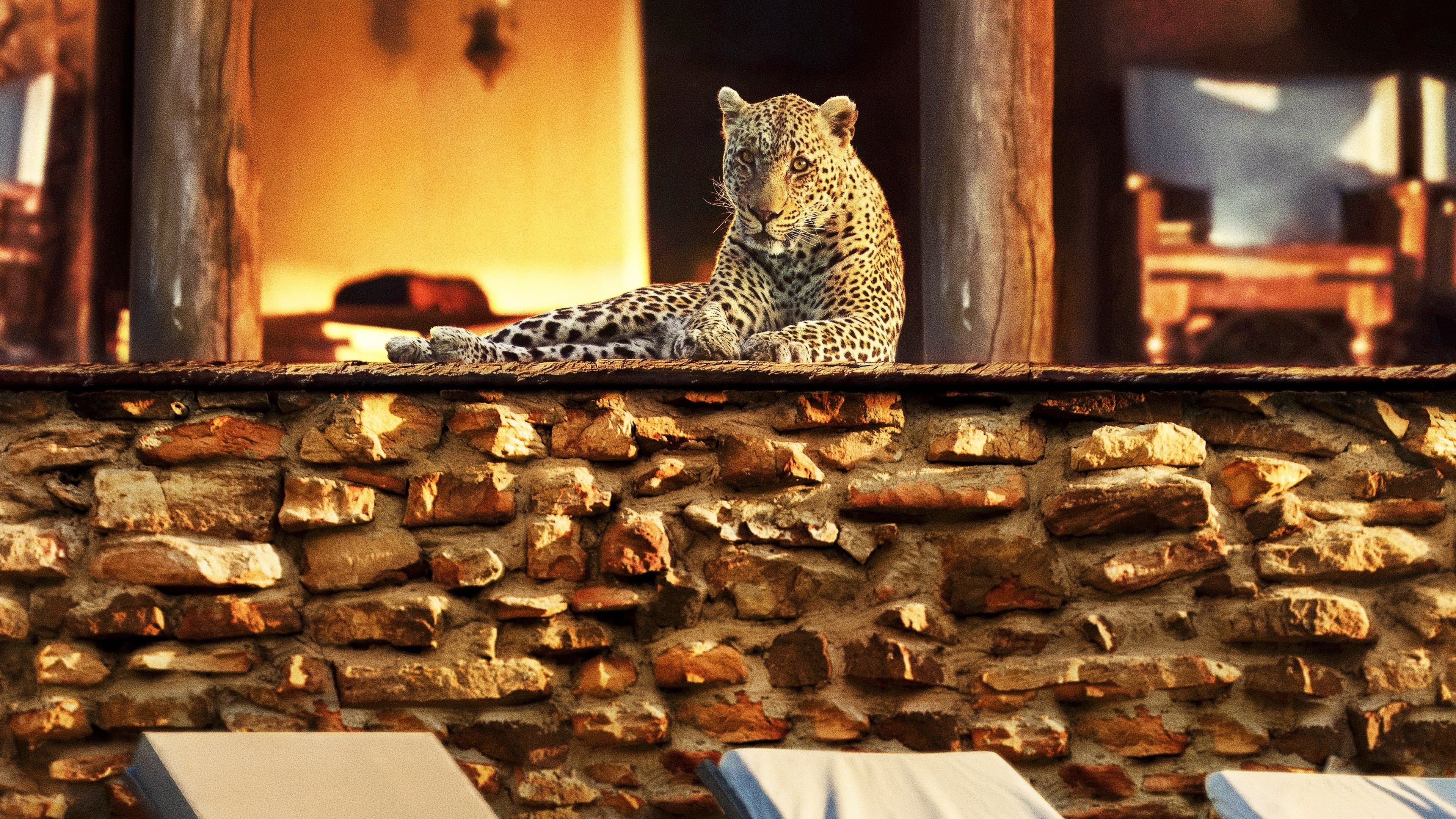 O Ano em que a Terra Mudou