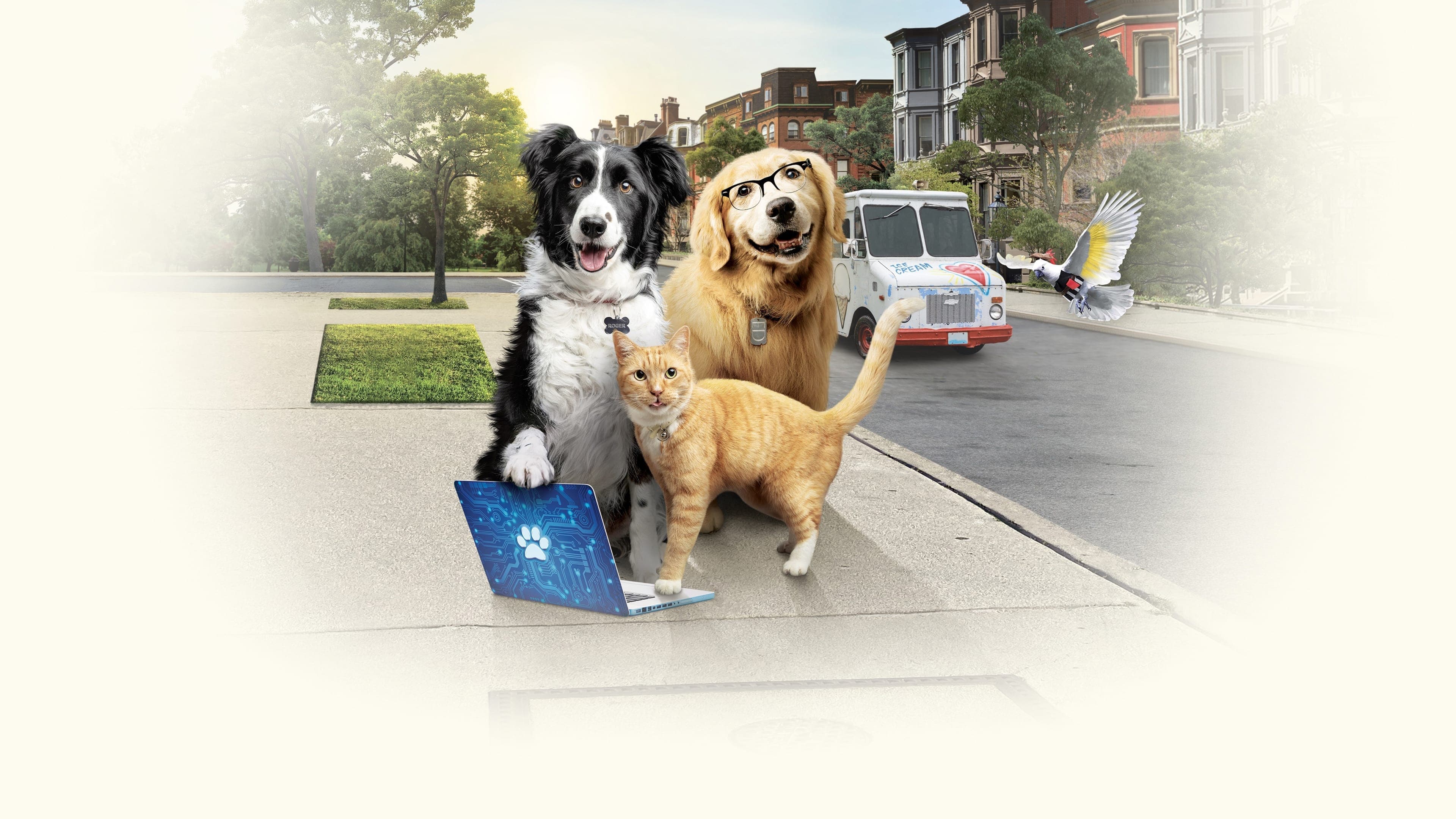 Como Cães e Gatos 3 - Peludos Unidos