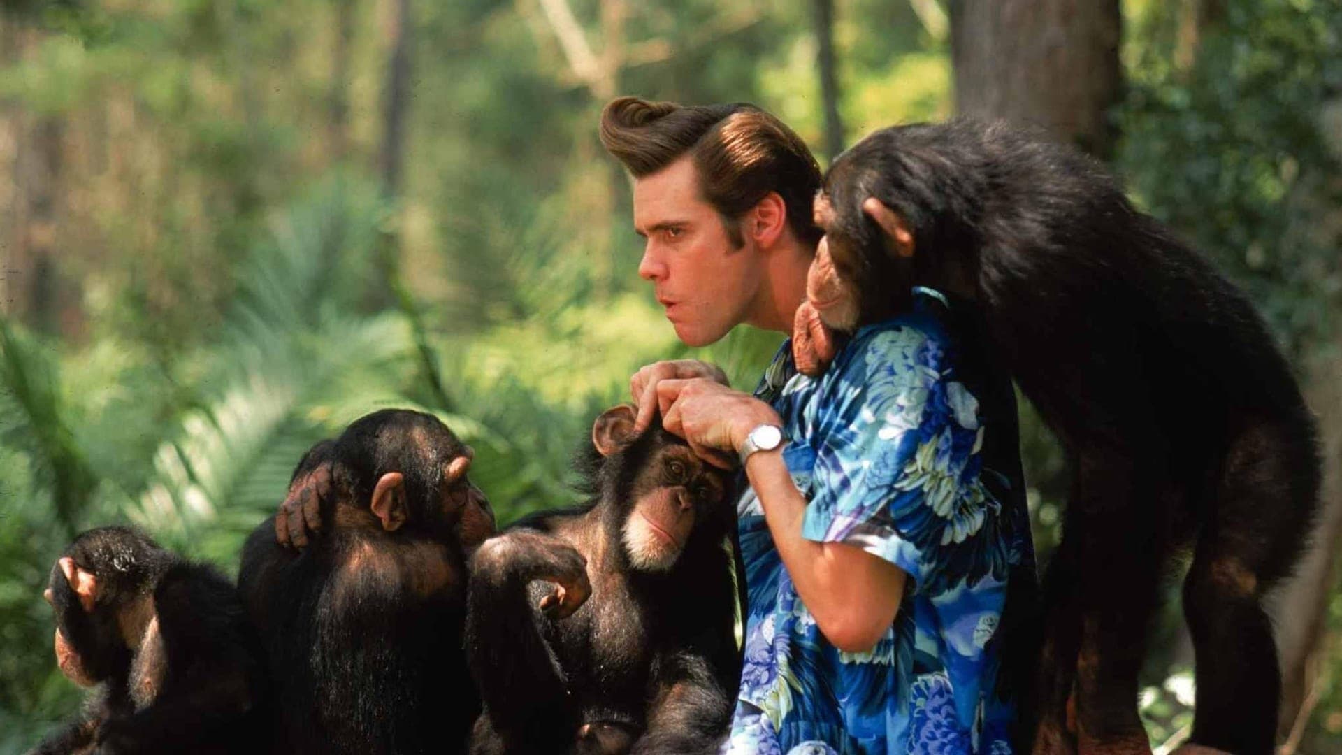 Ace Ventura 2: Um Maluco na África
