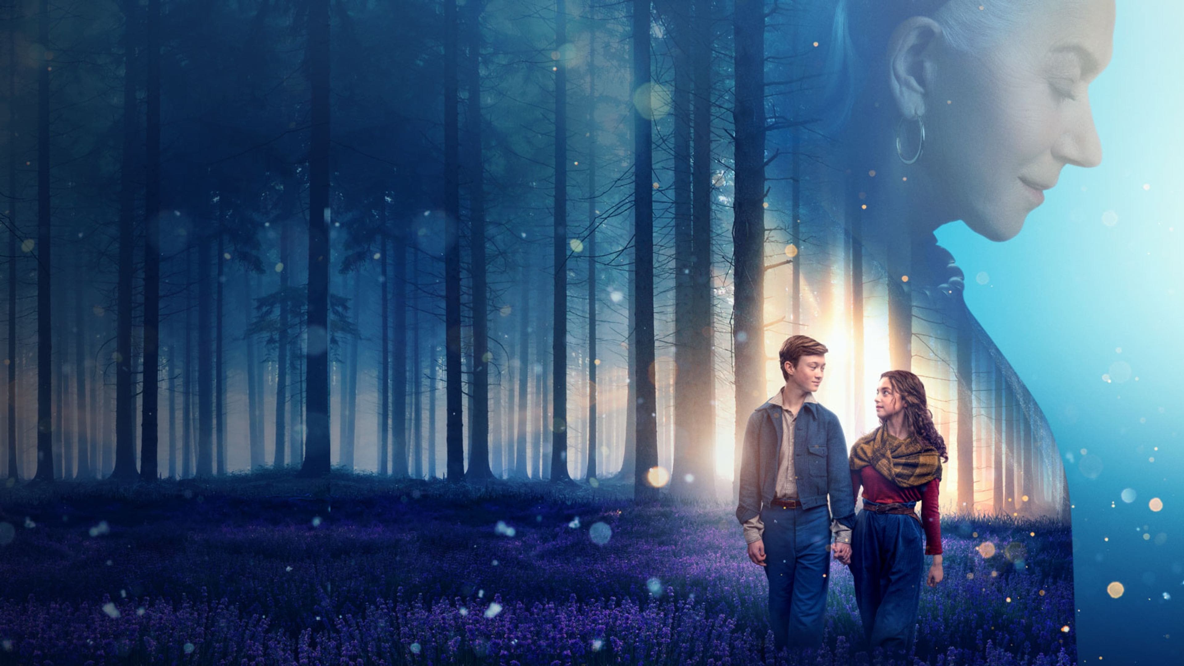 Pássaro Branco: Uma História de Extraordinário