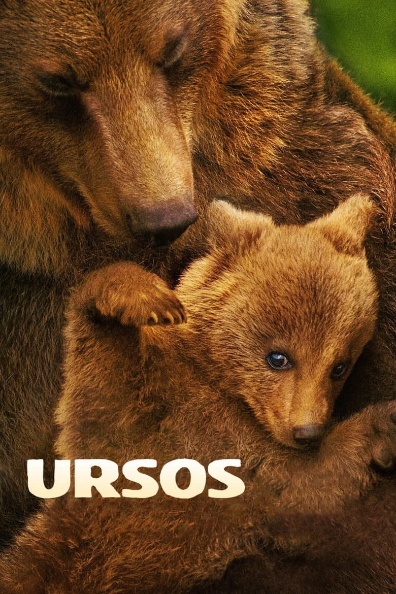 Ursos