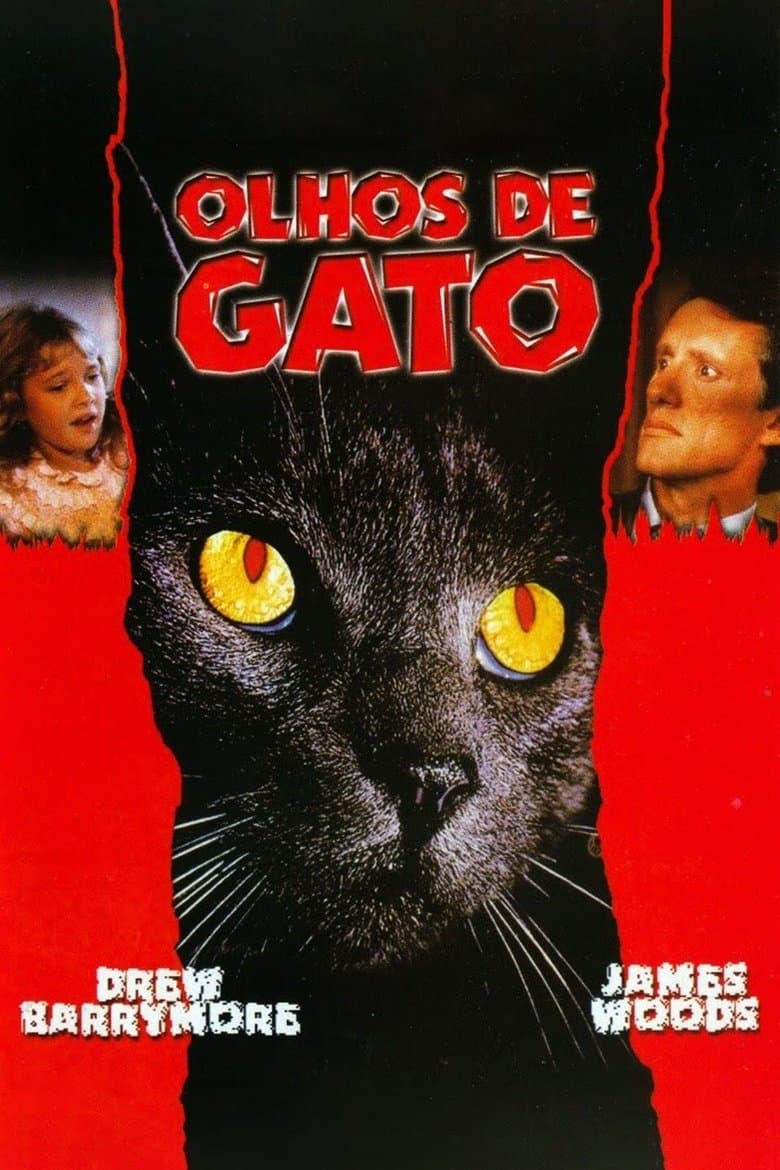 Olhos de Gato