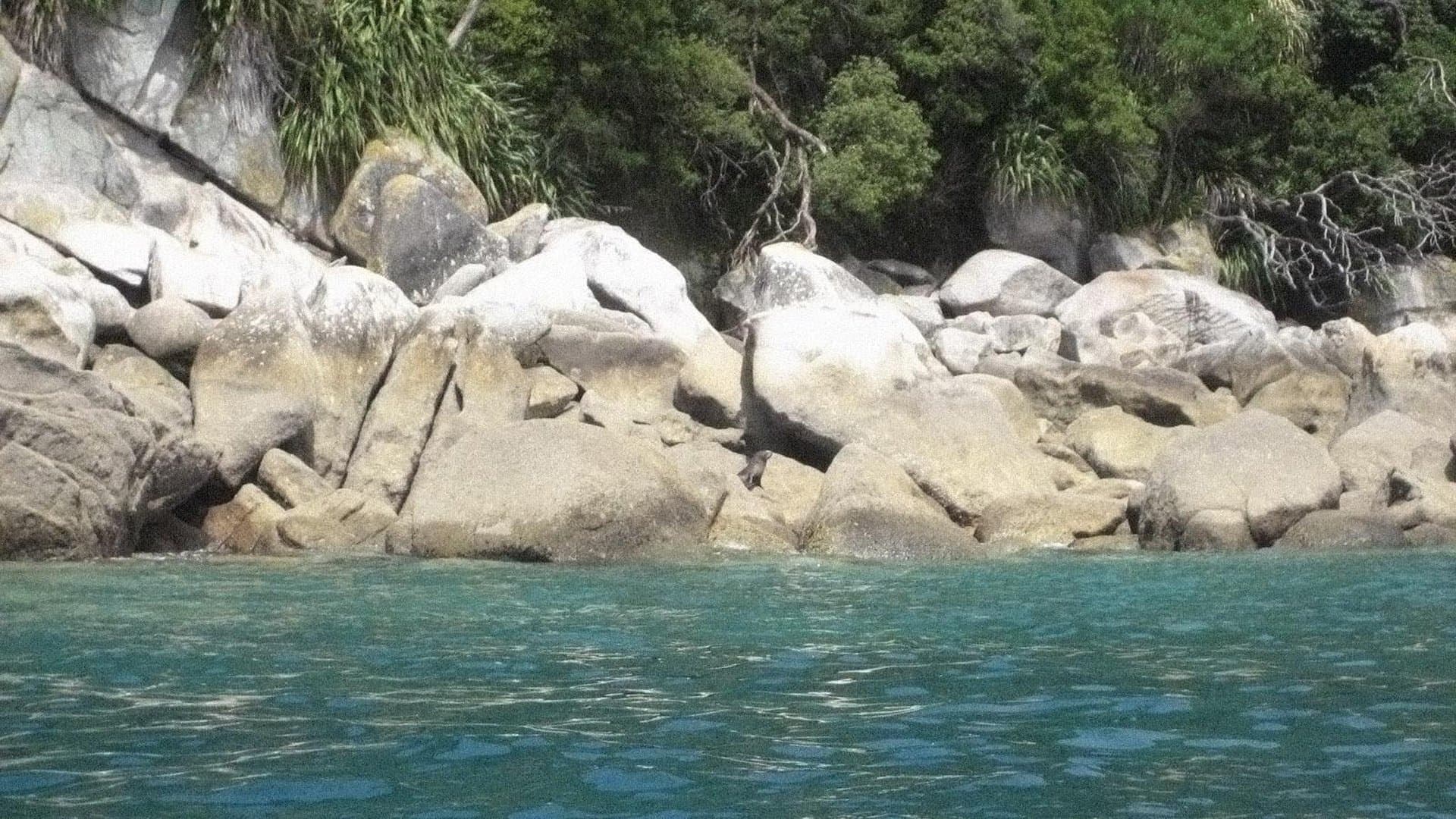 O Outro Lado do Céu