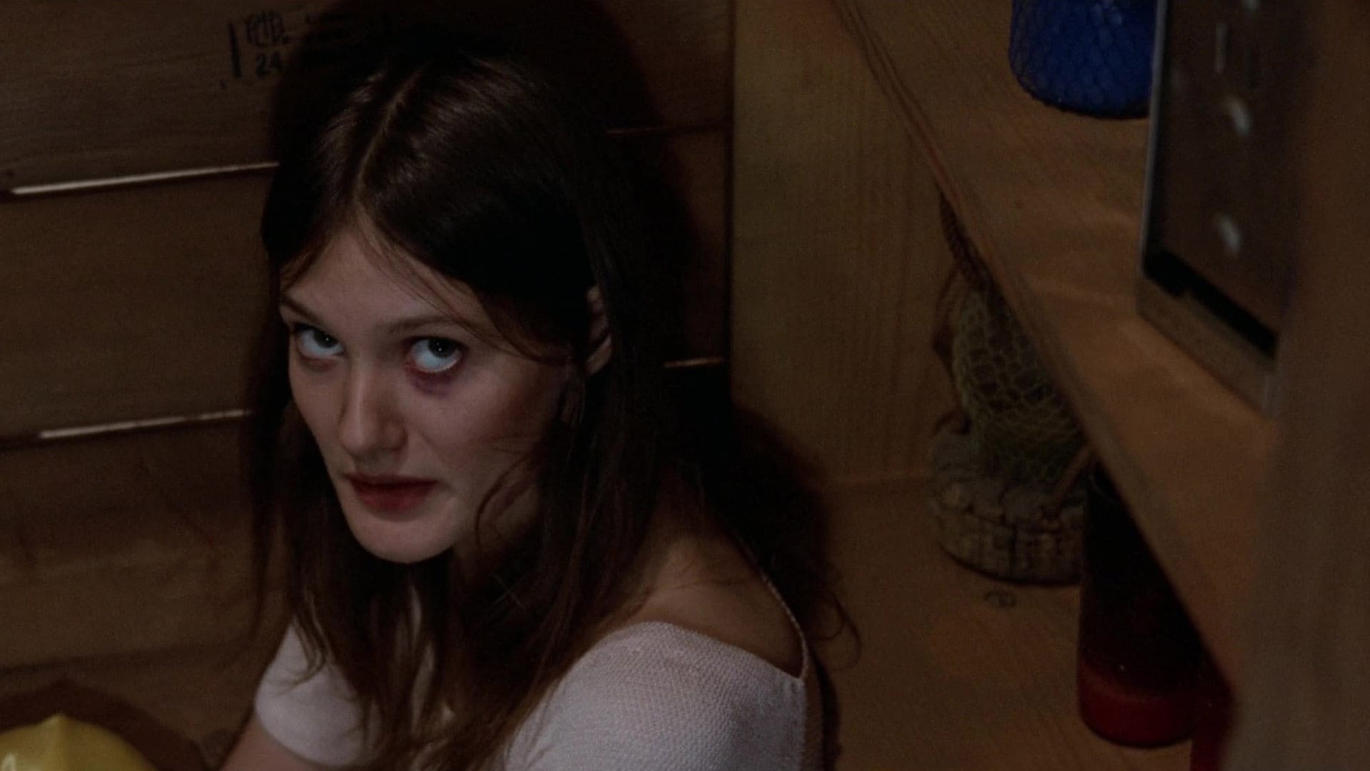 Hardcore: No Submundo do Sexo