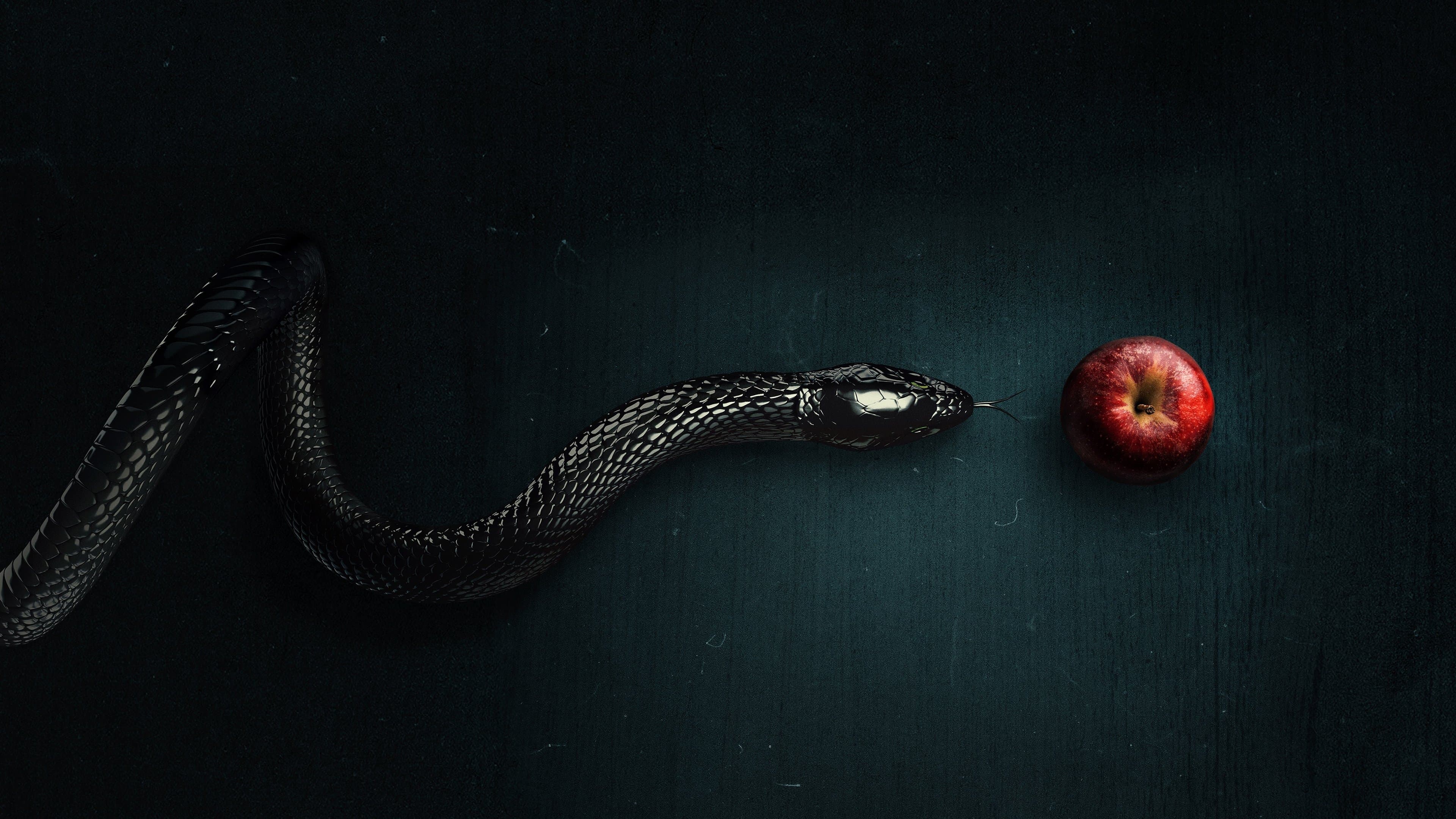 Evil: Contatos Sobrenaturais